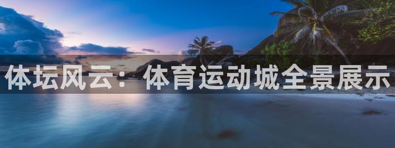 yy易游官网下载平台注册流程图：体坛风云：体育运动城