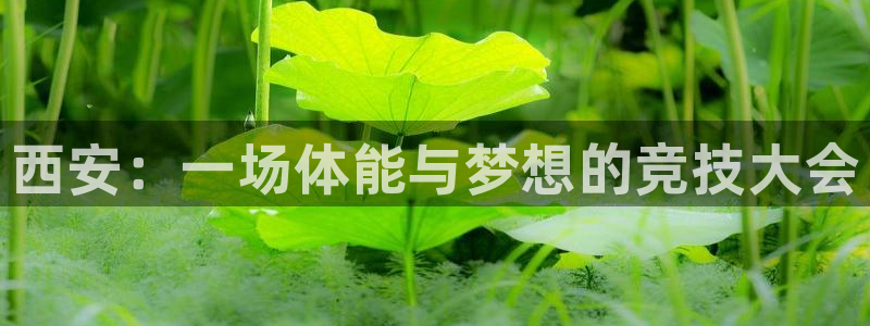 yy易游官网下载招商电话号码：西安：一场体能与梦想的