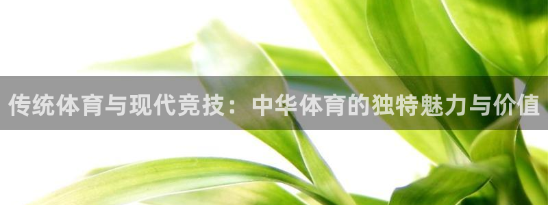 yy易游官方正版app集团logo：传统体育与现代竞