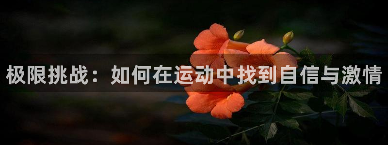 yy易游官方正版app娱乐是那个系列的台子：极限挑战