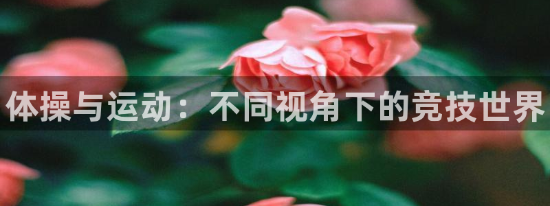 yy易游官网下载招商电话地址：体操与运动：不同视角下的竞技世