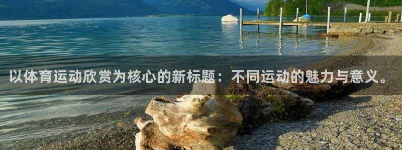 yy易游官方正版app娱乐平台：以体育运动欣赏为核心