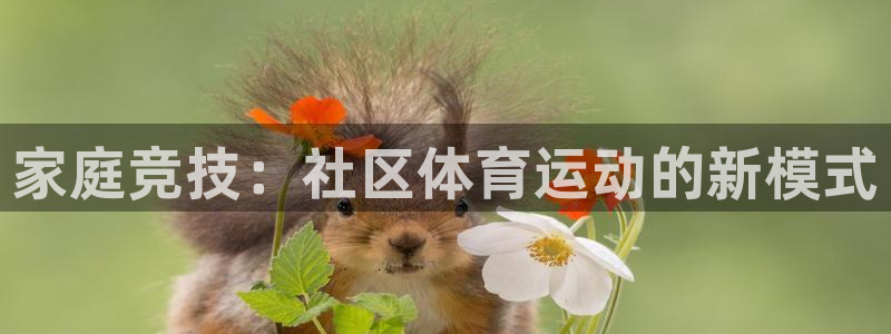 yy易游官网下载联系电话：家庭竞技：社区体育运动的新