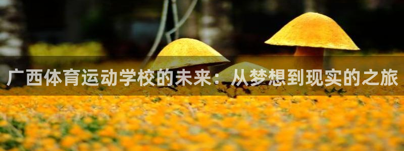 yy易游官方正版app科技：广西体育运动学校的未来：从梦想到