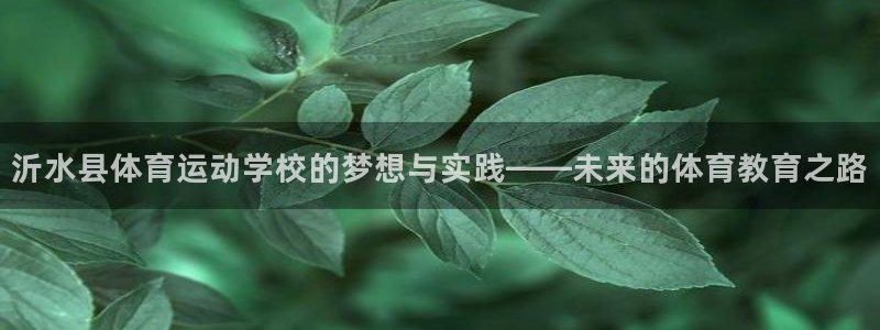yy易游官网下载平台假的吗是真的吗：沂水县体育运动学校的梦想