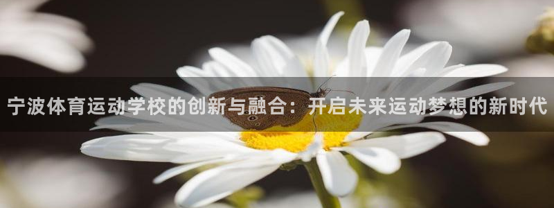 yy易游官方正版app五金厂：宁波体育运动学校的创新与融合：
