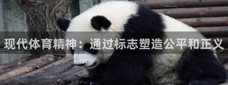 yy易游官网下载注册：现代体育精神：通过标志塑造公平和正义