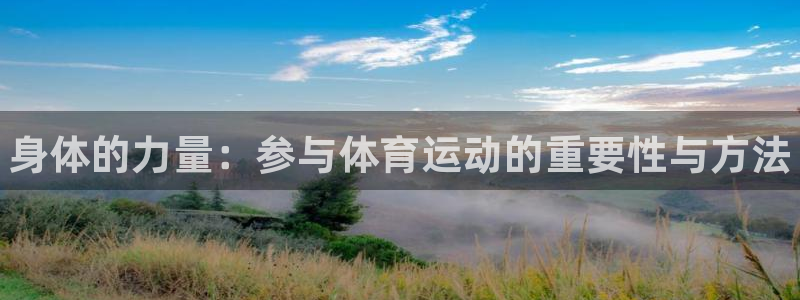 yy易游官网下载软件