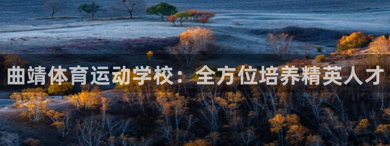 yy易游官网下载招商电话：曲靖体育运动学校：全方位培养精英人