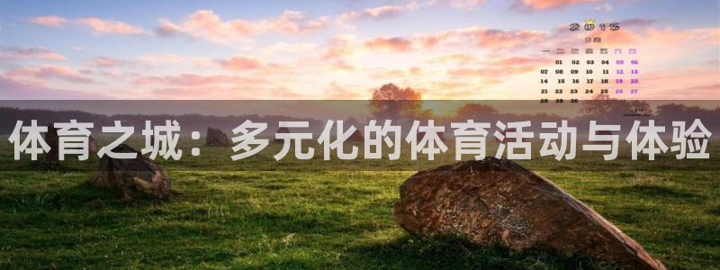 yy易游官方正版app集团官网首页网址：体育之城：多元化的体