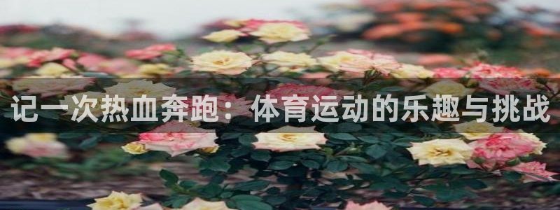 yy易游官网下载招商电话