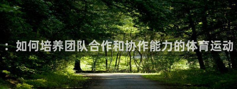 yy易游官方正版app集团E.ON