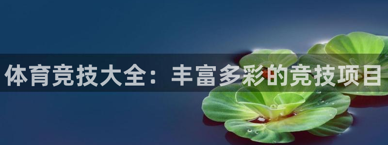 yy易游官方正版app娱乐首页官网下载：体育竞技大全