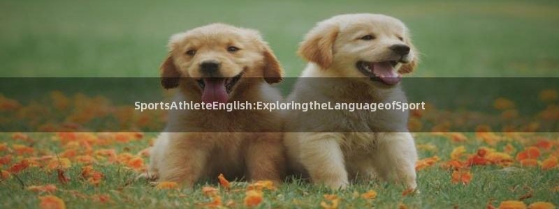 yy易游官方正版app开户