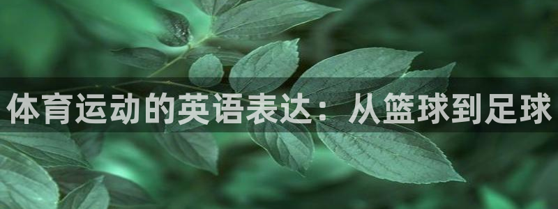 yy易游体育平台能提现吗安全吗