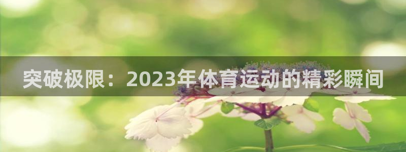 yy易游app最新版本更新内容分享：