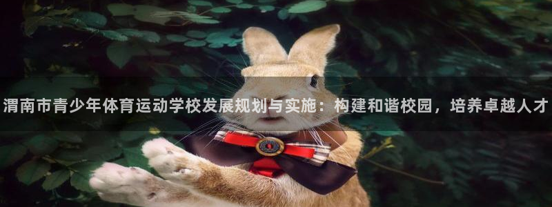 yy易游体育电竞登录不上去：渭南市青少年体育运动学校发展规划