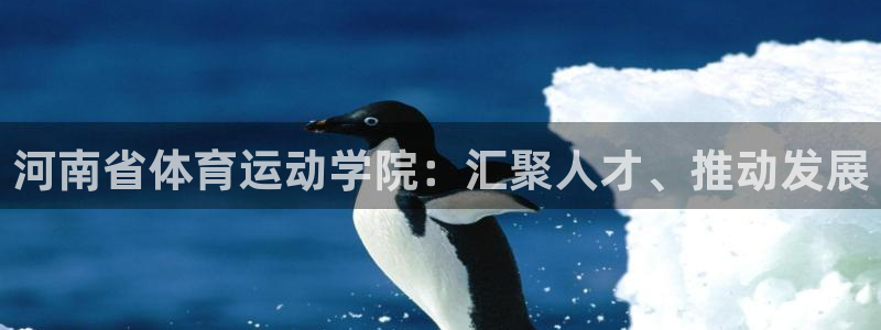 yy易游体育电竞：河南省体育运动学院