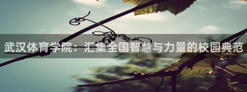 yy易游体育电竞：武汉体育学院：汇集