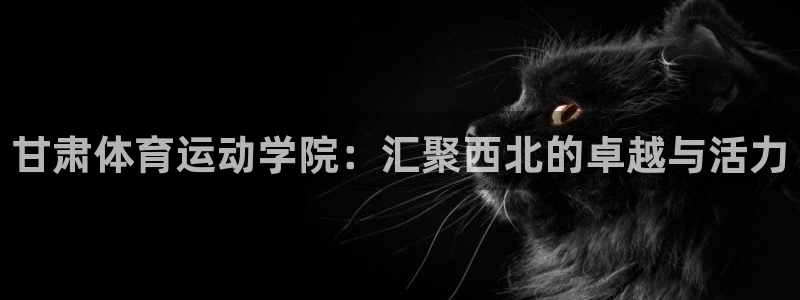  yy易游体育平台能提现吗是真的吗：甘肃体育运动学院：汇聚西北