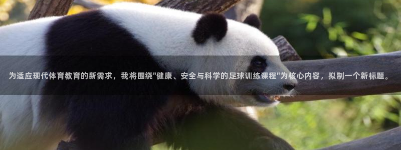  yy易游体育电竞登录不上去了：为适应现代体育教育的新需求，我