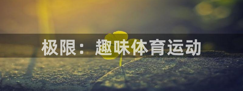 yy易游体育电竞登录不上去了：极限：