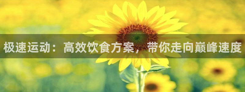yy易游体育平台：极速运动：高效饮食