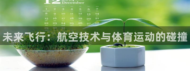 yy易游体育米乐：未来飞行：航空技术与体育运动的碰撞