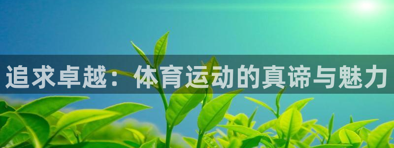 yy易游体育app最新版本更新内容是